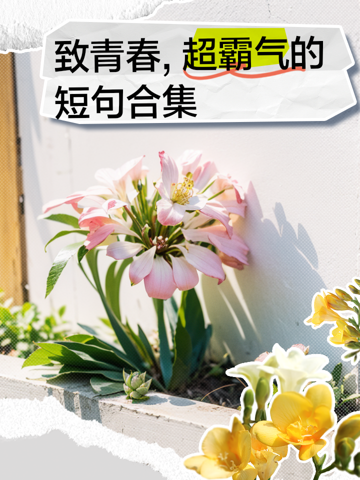 致青春的句子八个字